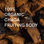 Élixir Chaga - Maison Fungi