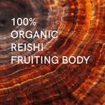 Élixir Reishi - Maison Fungi
