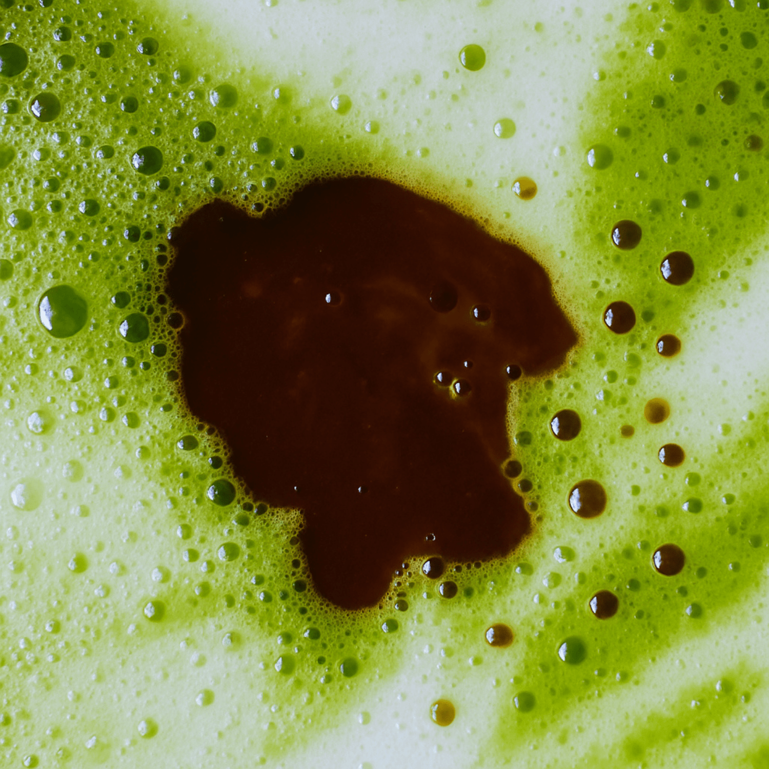 Duo Deep Flow - Maison Fungi