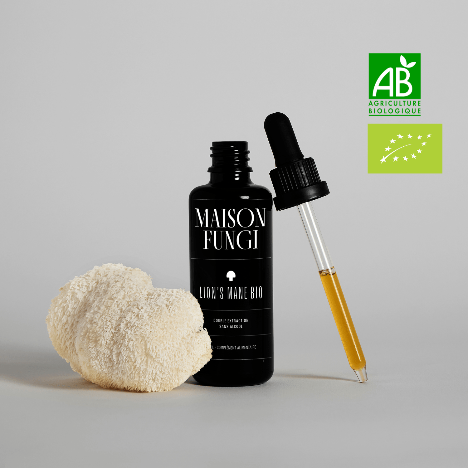 Élixir Lion's mane - Maison Fungi