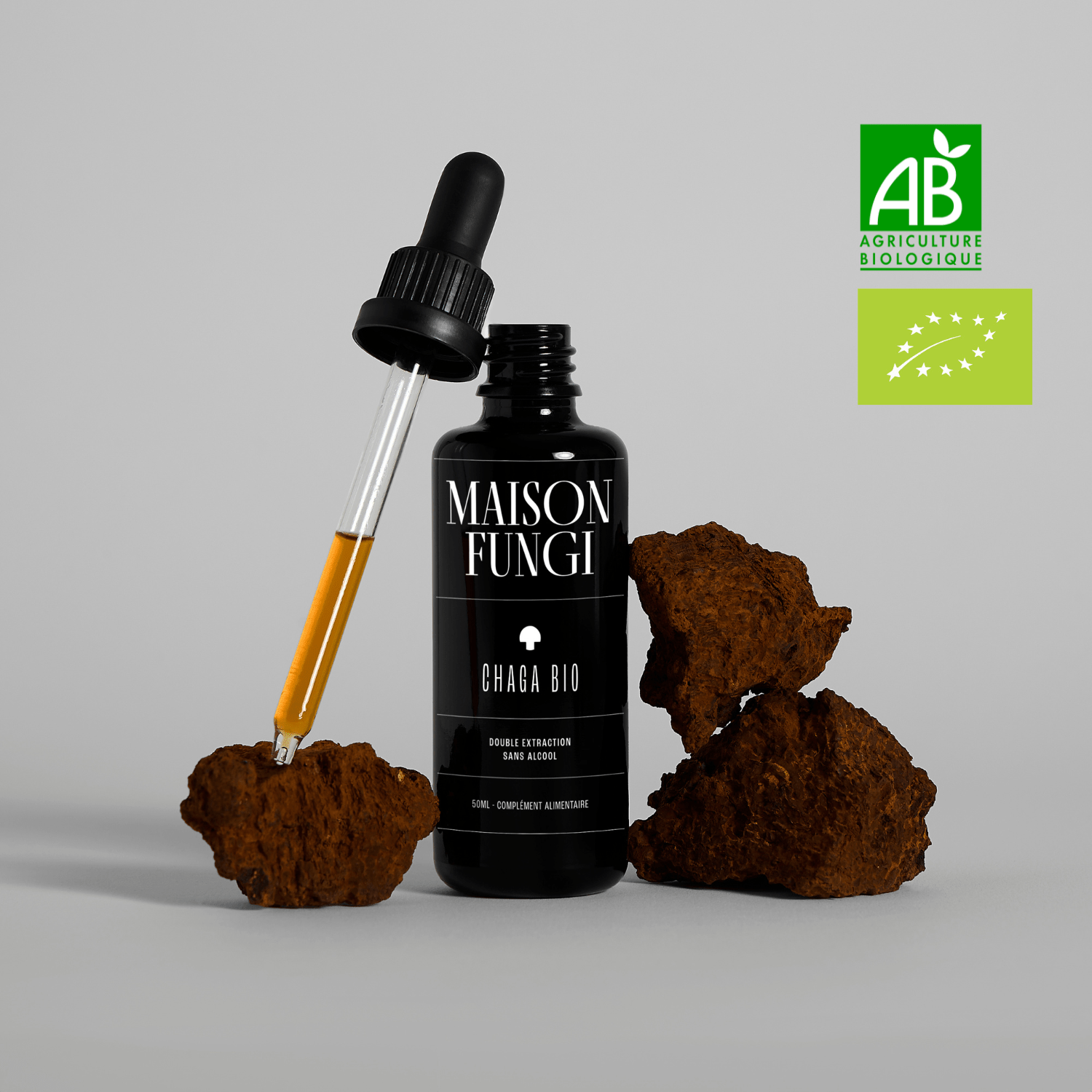 Élixir Chaga - Maison Fungi