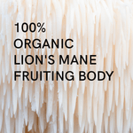 Élixir Lion's mane - Maison Fungi