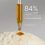 Élixir Lion's mane - Maison Fungi