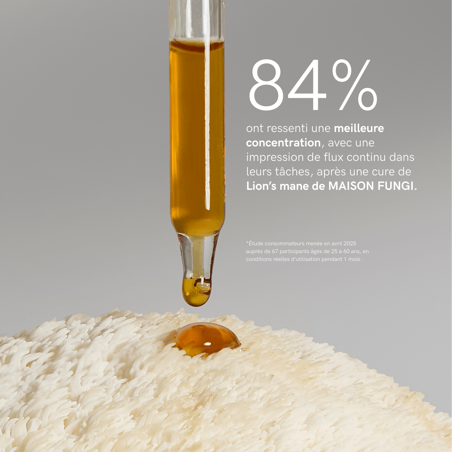 Élixir Lion's mane - Maison Fungi