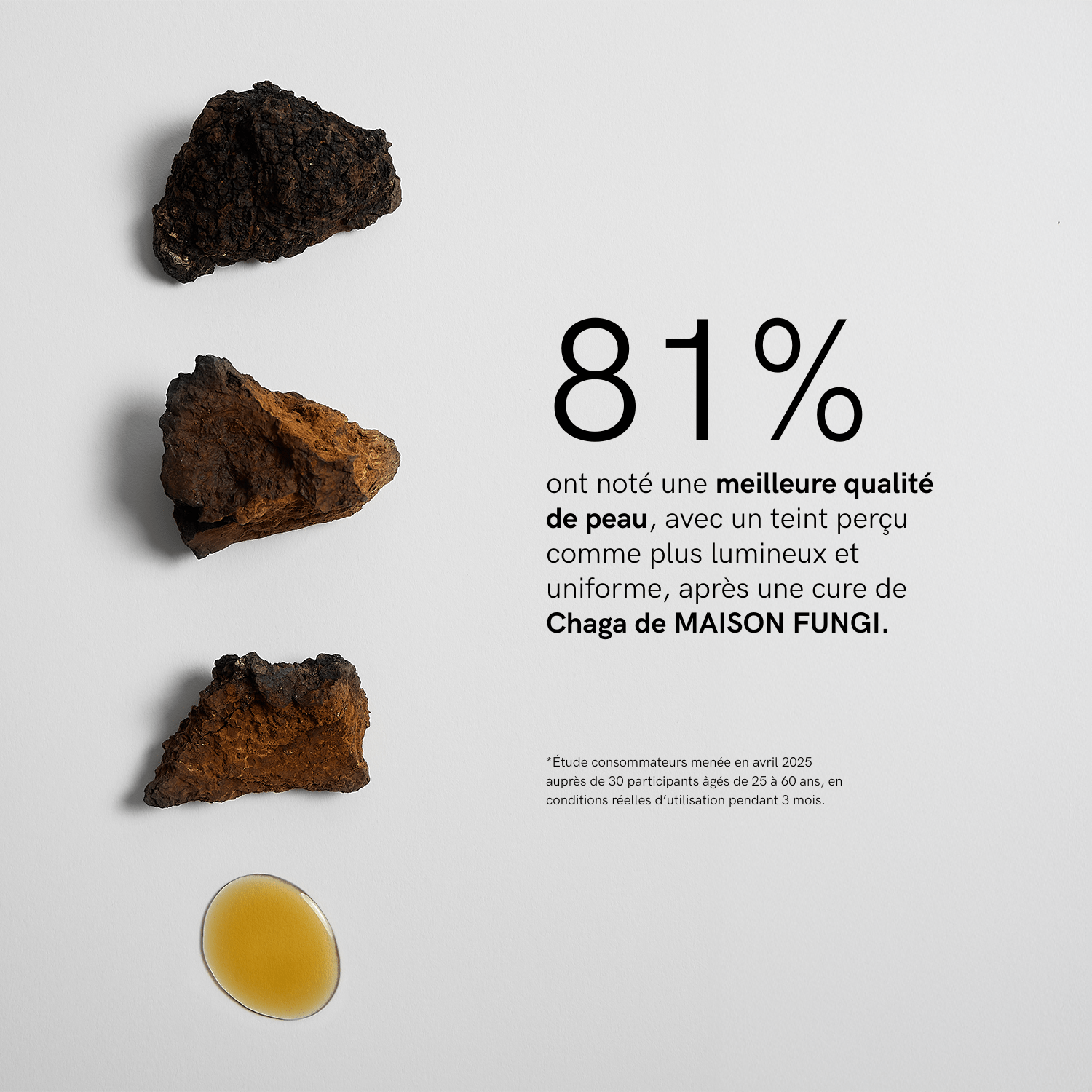 Élixir Chaga - Maison Fungi