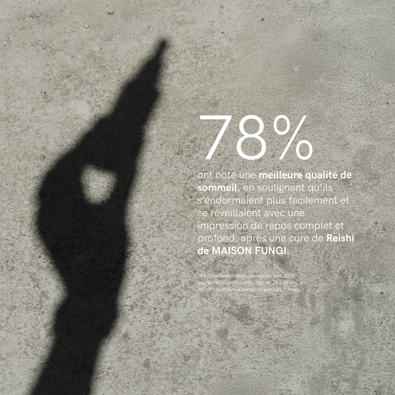 Duo Calm Power - Maison Fungi