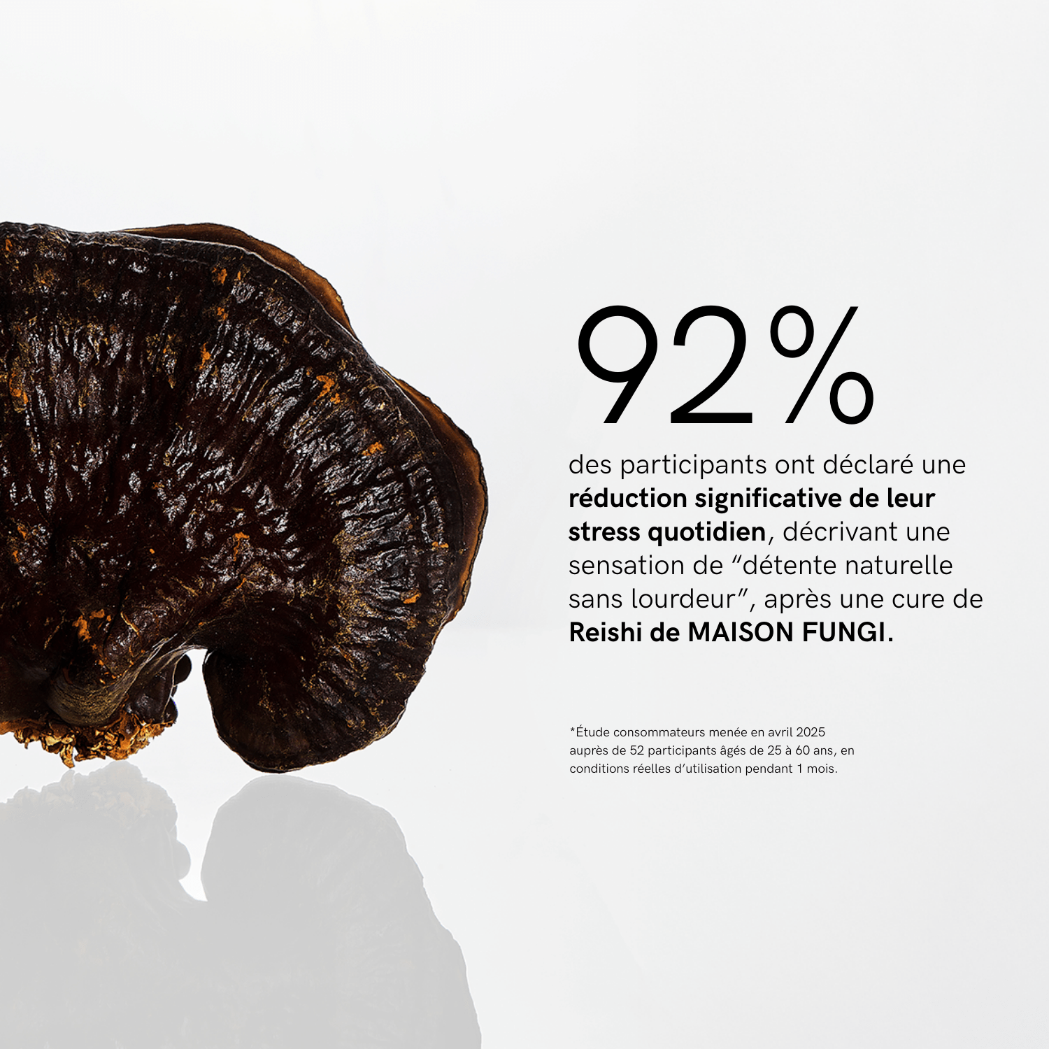 Duo Calm Power - Maison Fungi