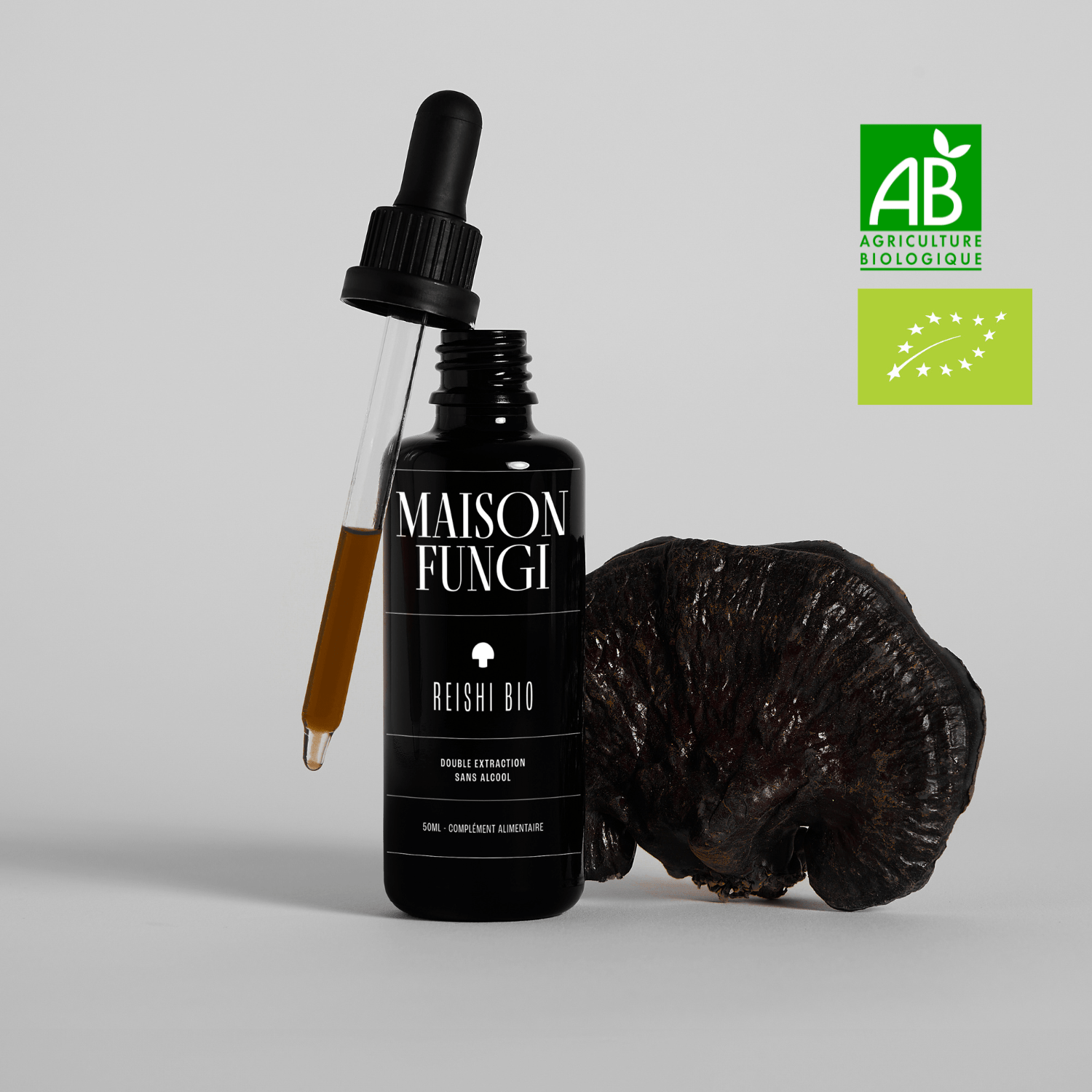 Élixir Reishi - Maison Fungi