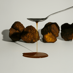 Élixir Chaga - Maison Fungi