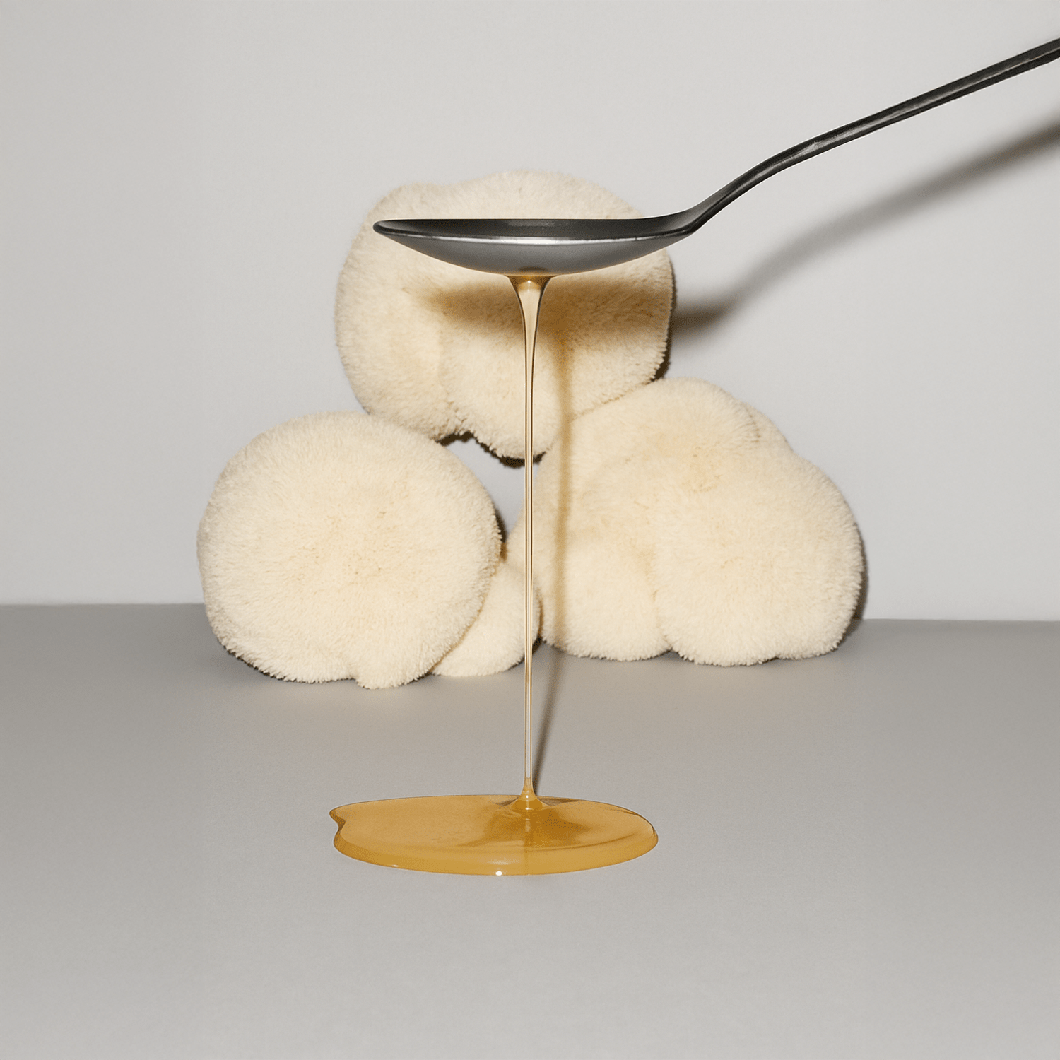 Élixir Lion's mane - Maison Fungi