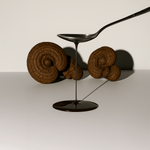 Élixir Reishi - Maison Fungi